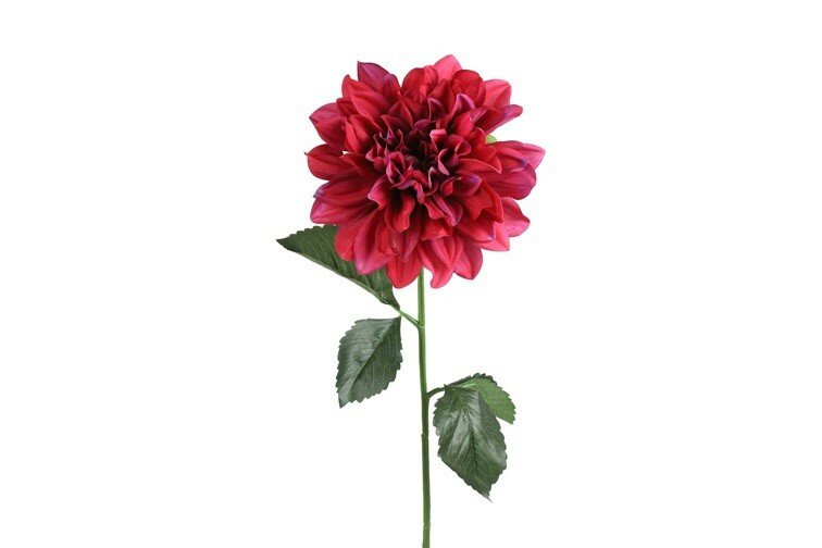 Dahlia d.roze L15B15H72CM