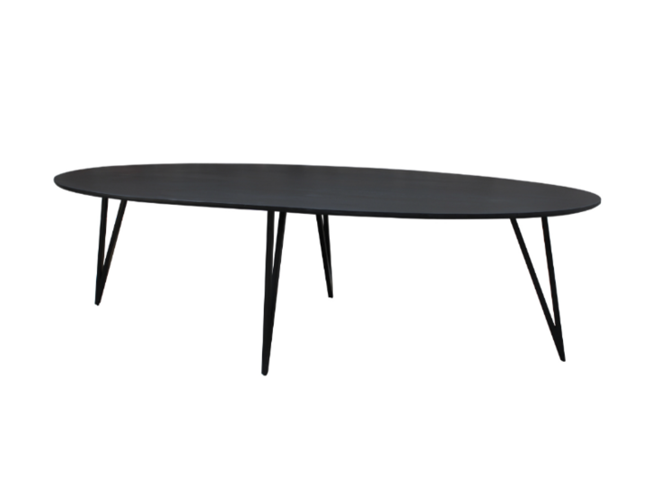 Ovale eettafel Zandvoort 230x110cm zwart 